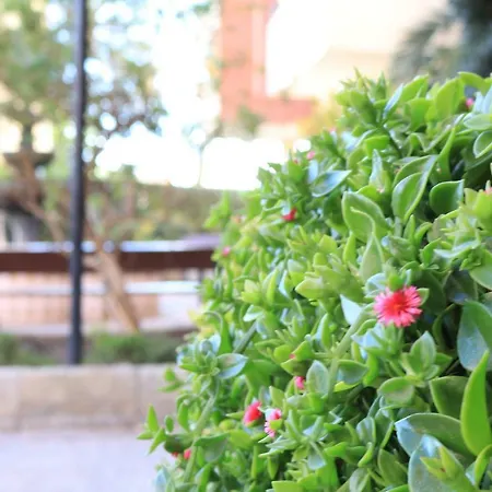 Apartamento Mareny Blau